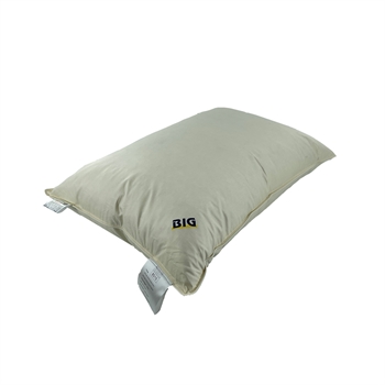 BIG Feather Pillow