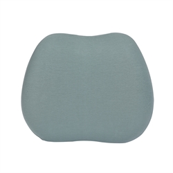 Lumbar Cushion BC-019 GRX