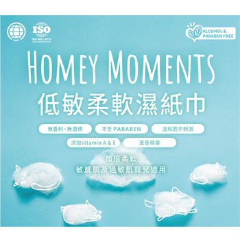 Homey Moments All-in-One Pet Wipes 30 x 10片裝