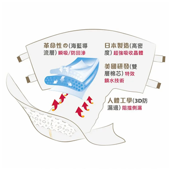 Di Adult Diaper (L) 10's