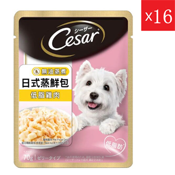 CESAR JP Pouch Sasami 16 x 70g