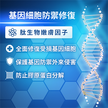 BORGHESE DNActive Future Youth 4-steps Repair Set K24132