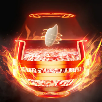 Tefal MasterMax IH-RiceCooker RK8198